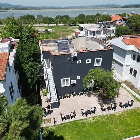 Erikli Golden Glow P