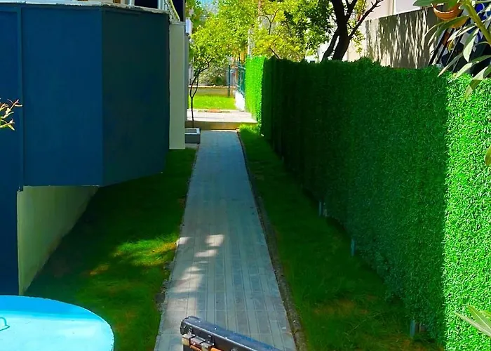 Erikli Golden Glow P *